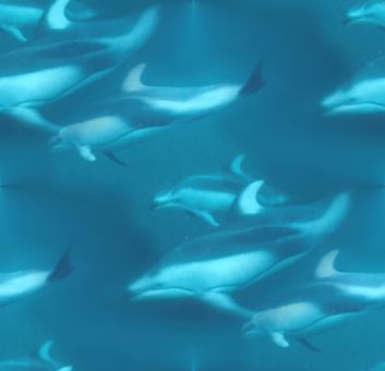 Dolphins Swimming Seamless Repeating Background