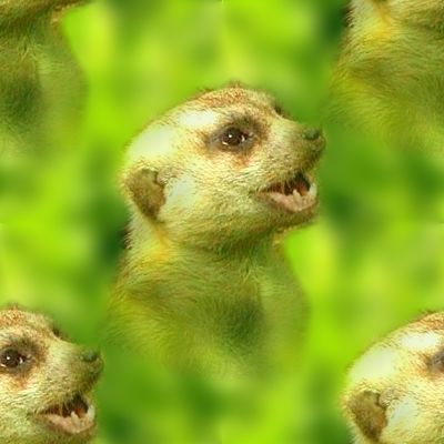 Meerkat Baby In Green Background Seamless Tile Repeating