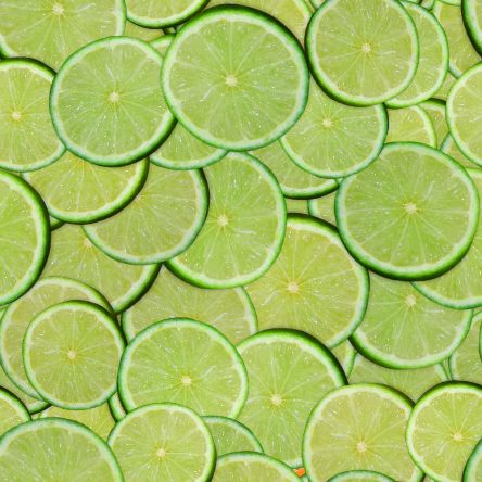 Lime slices small seamless picture