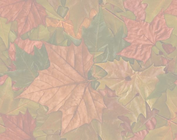 Large Colorful Leaves matching repeating paper