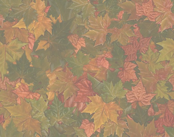 Colorful Fall Leaves Autumn Leaf matching paper
