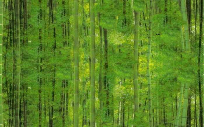 Lucky Bamboo Forest Seamless Background Tile