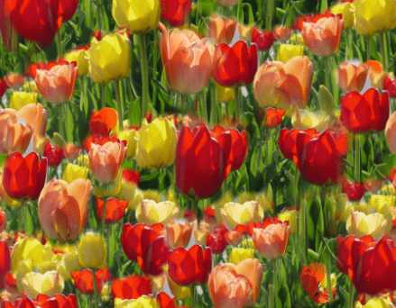 Spring Tulips Seamless Background Tile