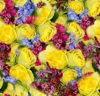 Yellow Roses  Mixed Colors Bouquet Seamless Background Tile