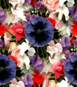 Poppy Sweet Pea Bouquet Seamless Background Tile