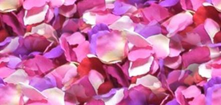 Rose Petal Wedding Seamless Background Tile