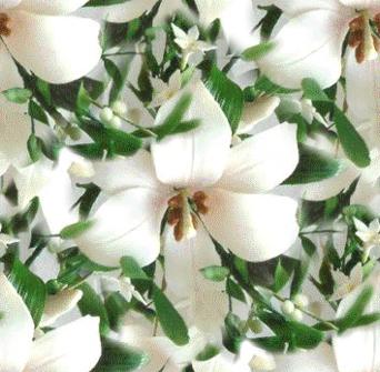 White Lily Single Seamless Background Tile