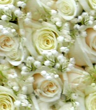 White Roses Wedding Bouquet Seamless Background Tile