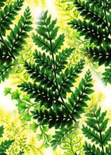Abstract Fern Seamless Background 