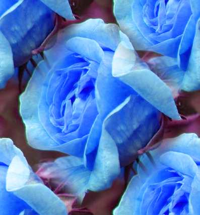 Blue Rose Seamless Background Tile Image