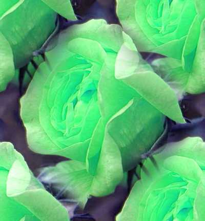 Green Rose 2 Seamless Background Tile Image 