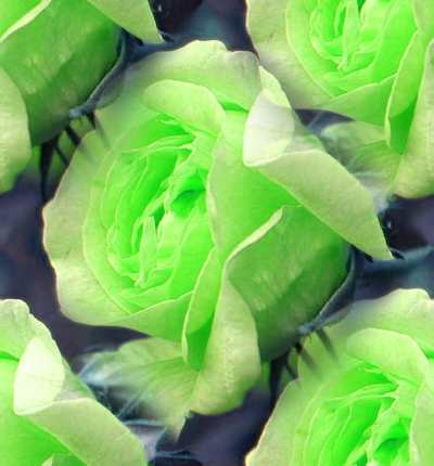 Green Rose 1 Seamless Background Tile