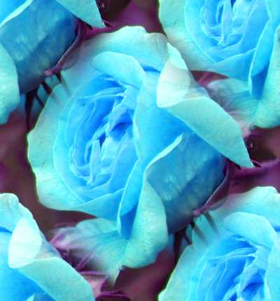 Blue Rose Sky Blue Seamless Background Tile