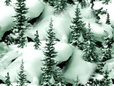 Snow Pine Tree Forest Christmas Trees In The Snow Seamless