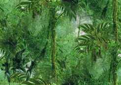 Tropical Rain Forest Small Seamless Background Tile Image Picture