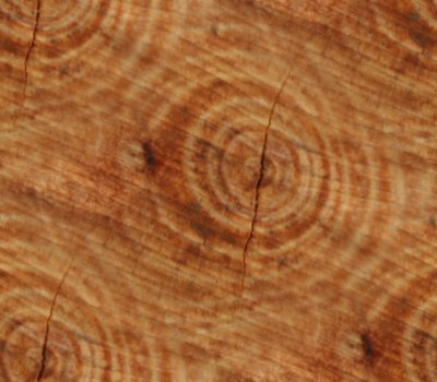 Wood Textures - Seamlessly Repeating Wood Images