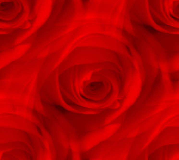 Red rose large dreamy seamless texture