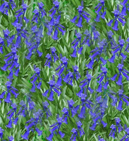 Bluebells Seamless Repeating Background Image
