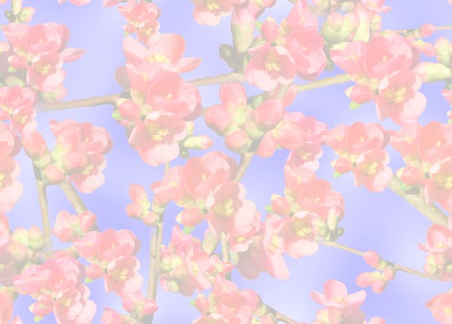 Quince Background Pale Seamless Repeating Background Image