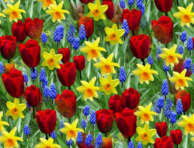 Spring Flowers with Tulips Seamless Repeating Background Image