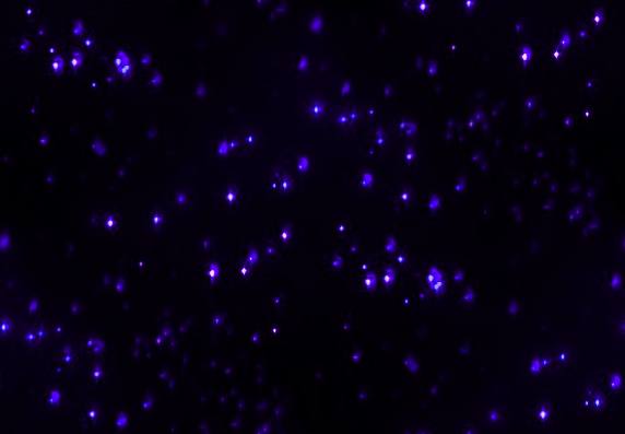Ultraviolet star space background image