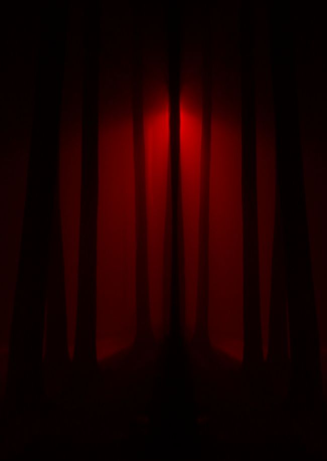 Vampire Background Red Spooky Trees Seamless Repeating Image 